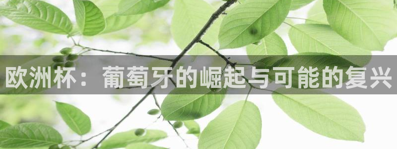 2026世界杯亚洲区预选赛赛程：欧洲杯：葡萄牙的崛起与可能的复兴