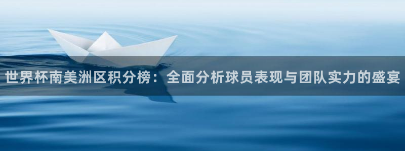预选赛世界杯：世界杯南美洲区积分榜：全面分析球员表现与团队实力的盛宴