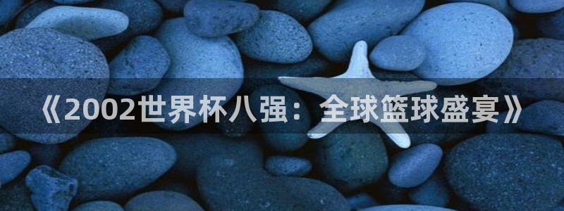 2026年世界杯时间表：《2002世界杯八强：全球篮球盛宴》