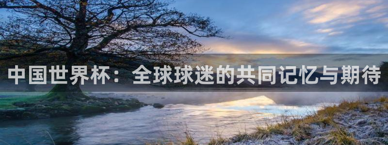 世界杯足球直播：中国世界杯：全球球迷的共同记忆与期待