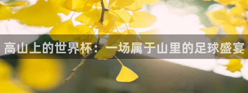世界杯足球赛：高山上的世界杯：一场属于山里的足球盛宴