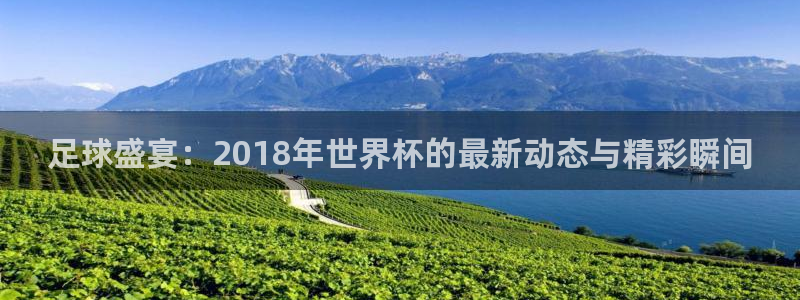 2026世界杯官网：足球盛宴：2018年世界杯的最新动态与精彩瞬间