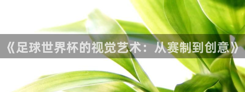 世界杯欧洲区世预赛赛程：《足球世界杯的视觉艺术：从赛制到创意》