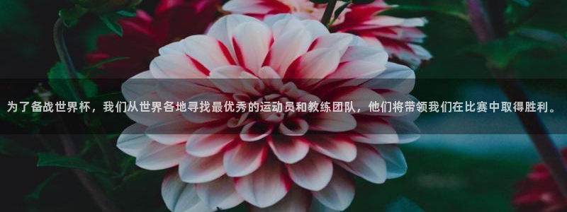 世界杯48支球队赛制：为了备战世界杯，我们从世界各地寻找最优秀的运动员和教练团队，他们将带领我们在比赛中取得胜利。
